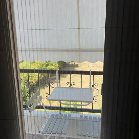 Kanarinia * Kala Nera